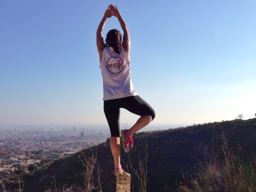 Galería de imágenes